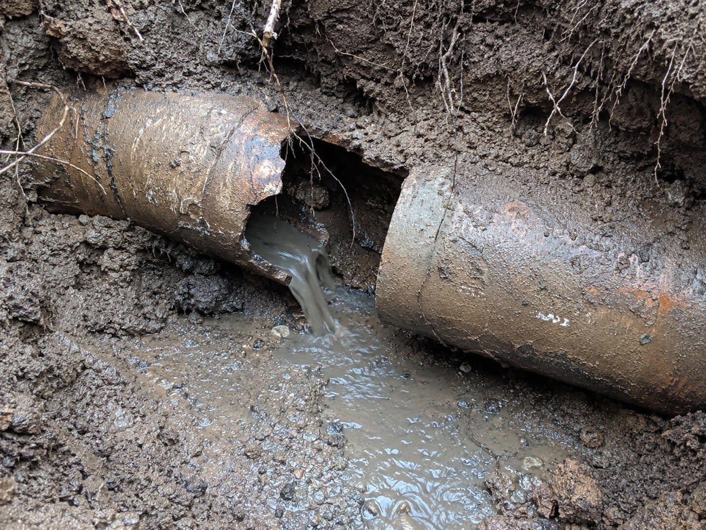 burst sewer line