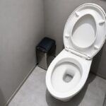 toilet with low water level